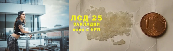 ПСИЛОЦИБИНОВЫЕ ГРИБЫ Зеленодольск