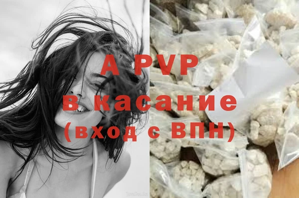 ПСИЛОЦИБИНОВЫЕ ГРИБЫ Зеленодольск