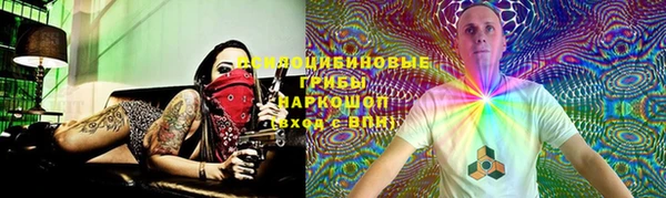 твердый Зерноград