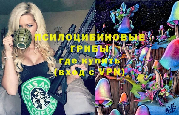 ПСИЛОЦИБИНОВЫЕ ГРИБЫ Зеленодольск