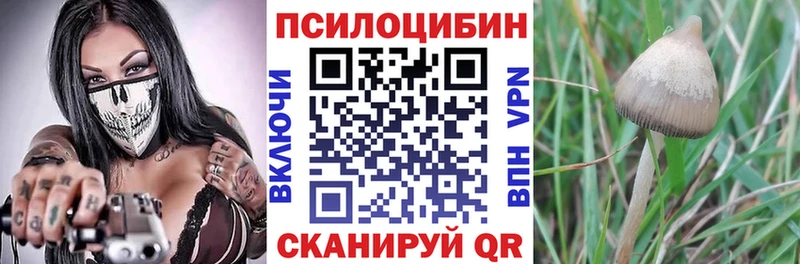 Галлюциногенные грибы прущие грибы Камбарка