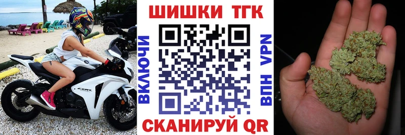 Канабис сатива  Камбарка 